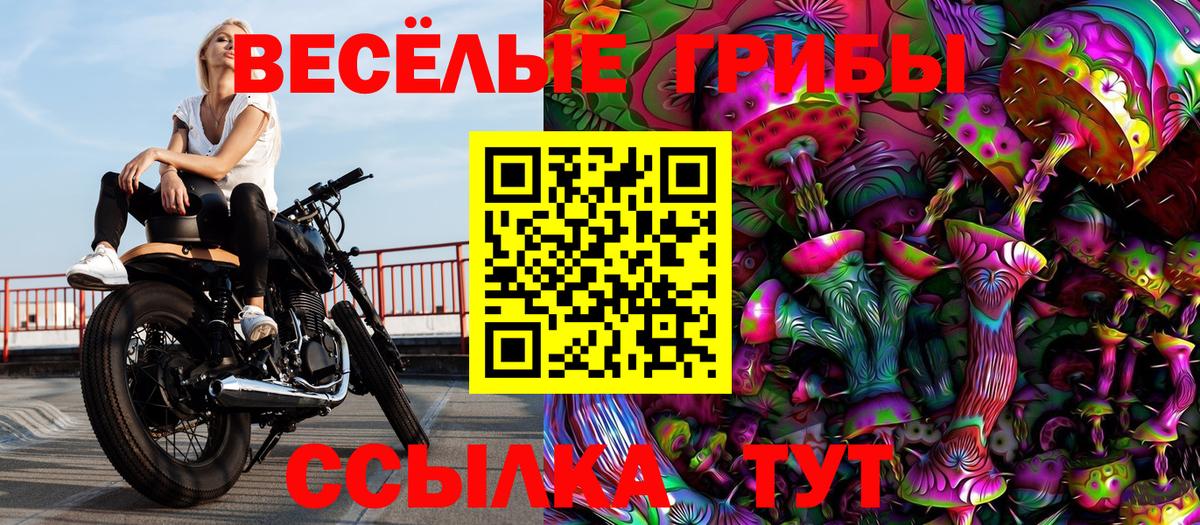 Хабаровск  Псилоцибиновые грибы ЛСД  Вход с VPN 